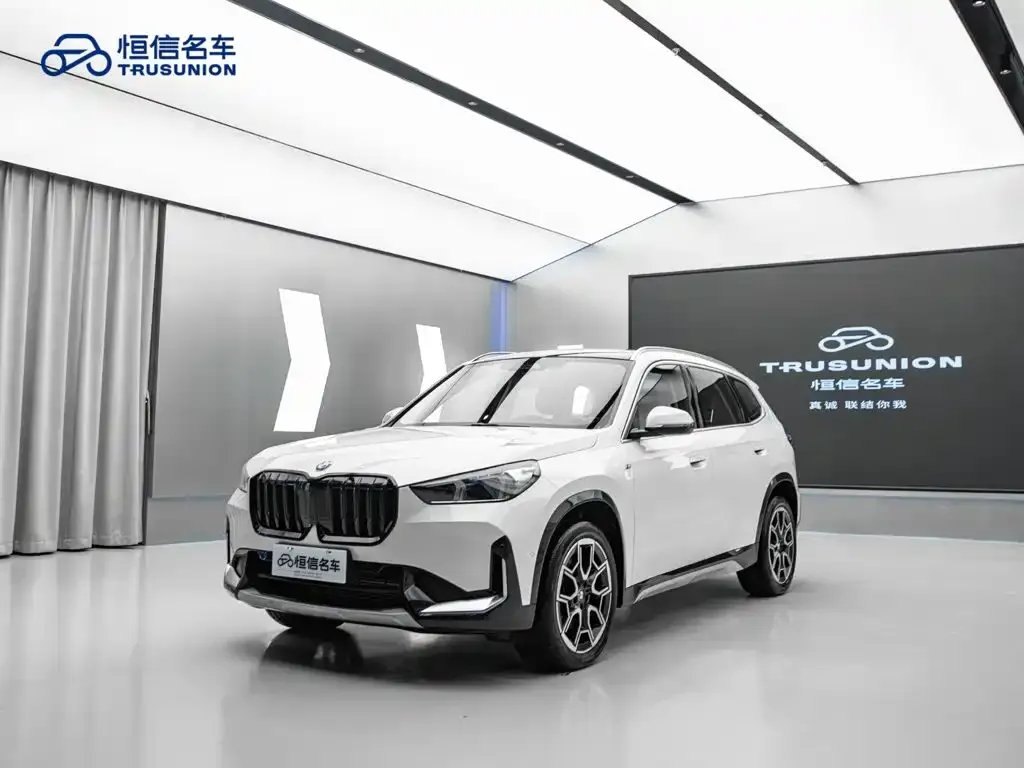BMW X1 — фото 1