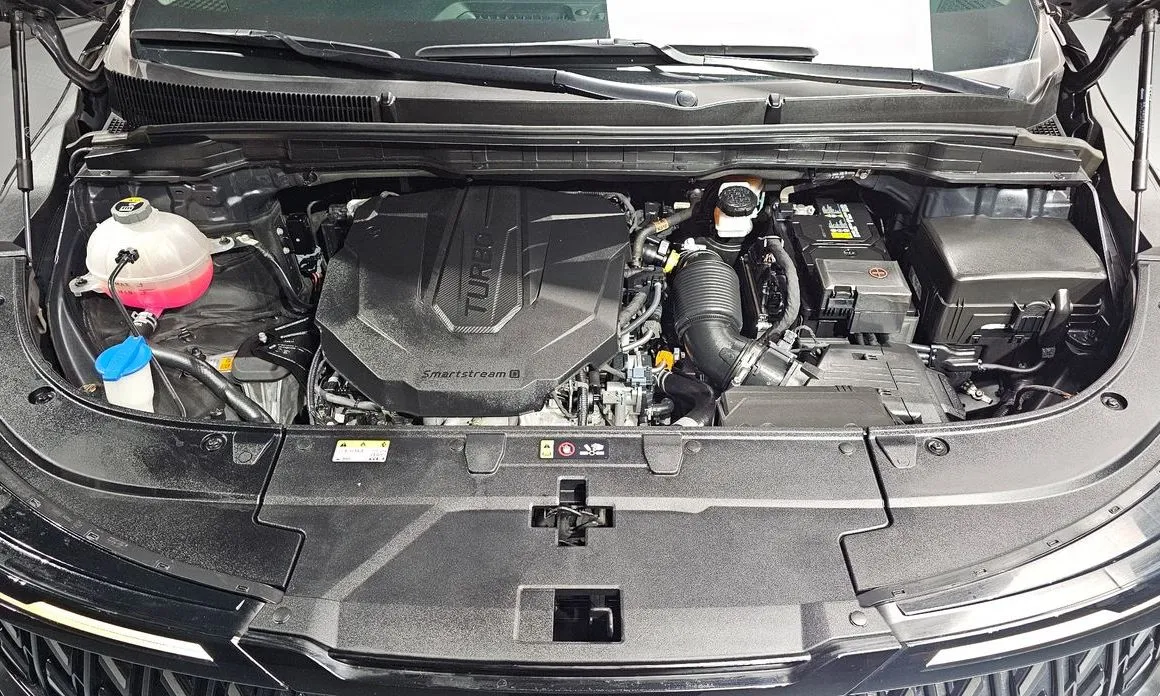 Kia Carnival — фото 10