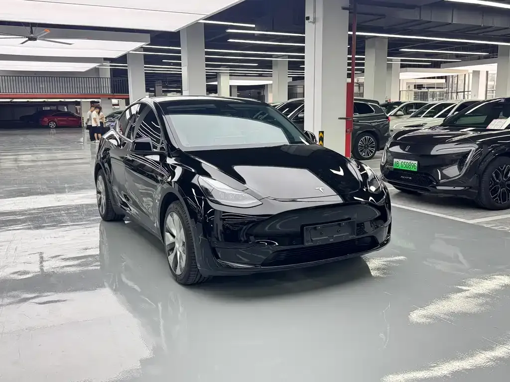 Tesla Model Y — фото 8