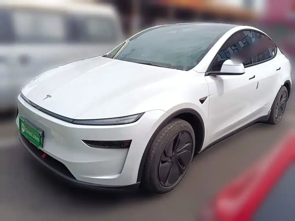 Tesla Model Y — фото 2