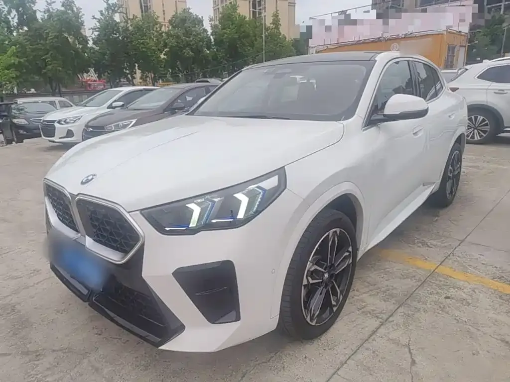 BMW X2 (Import) — фото 1