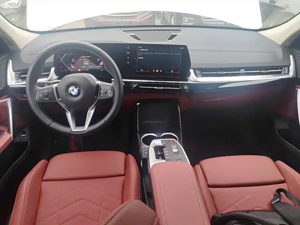 BMW X2 (Import) — фото 9