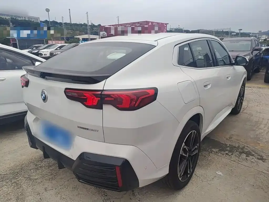 BMW X2 (Import) — фото 10