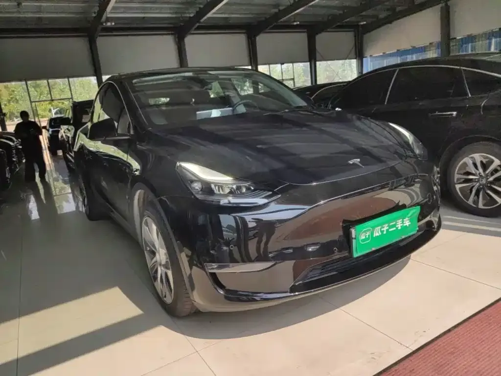 Tesla Model Y — фото 10