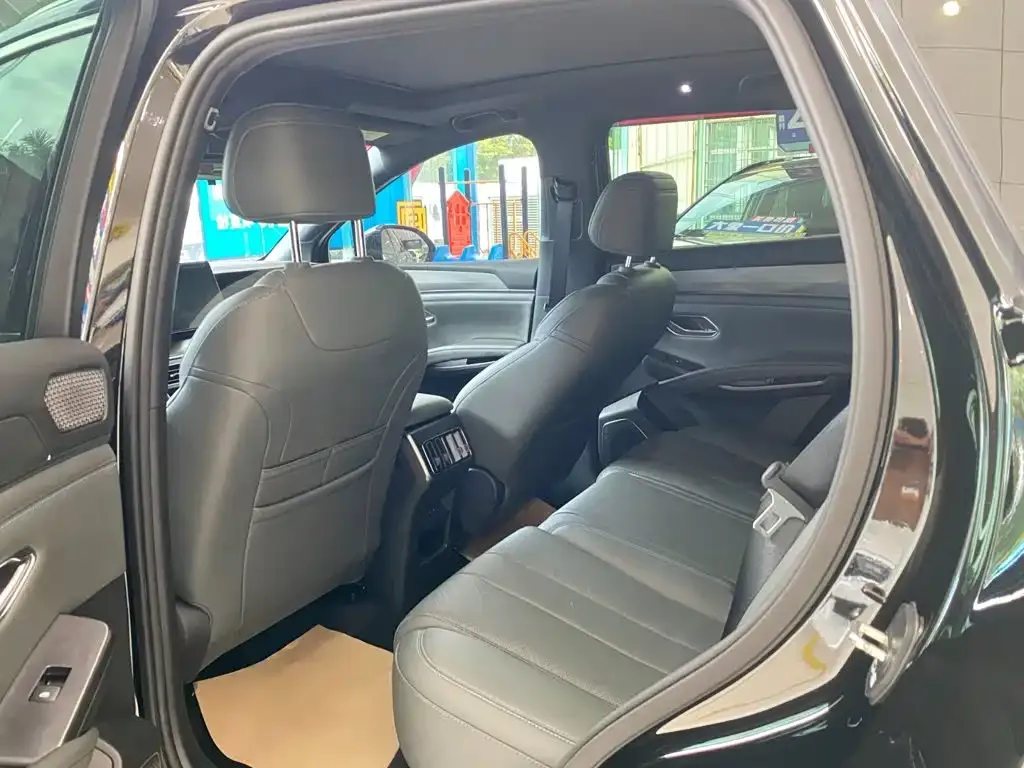 BYD L DM-i — фото 9