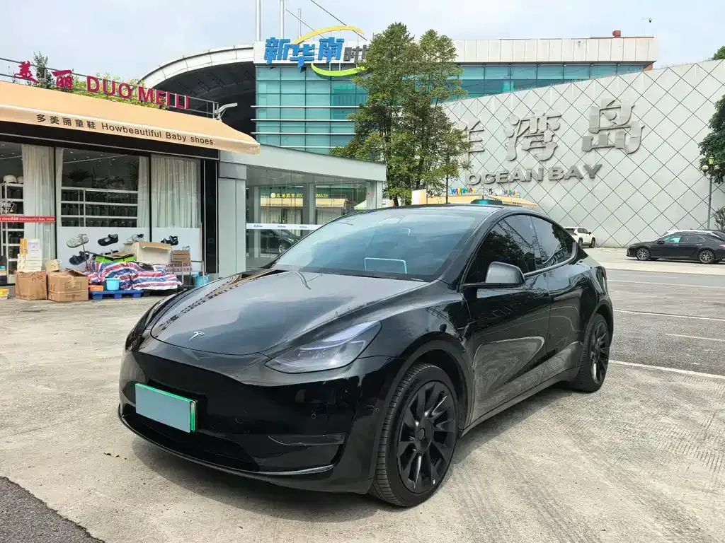 Tesla Model Y — фото 1