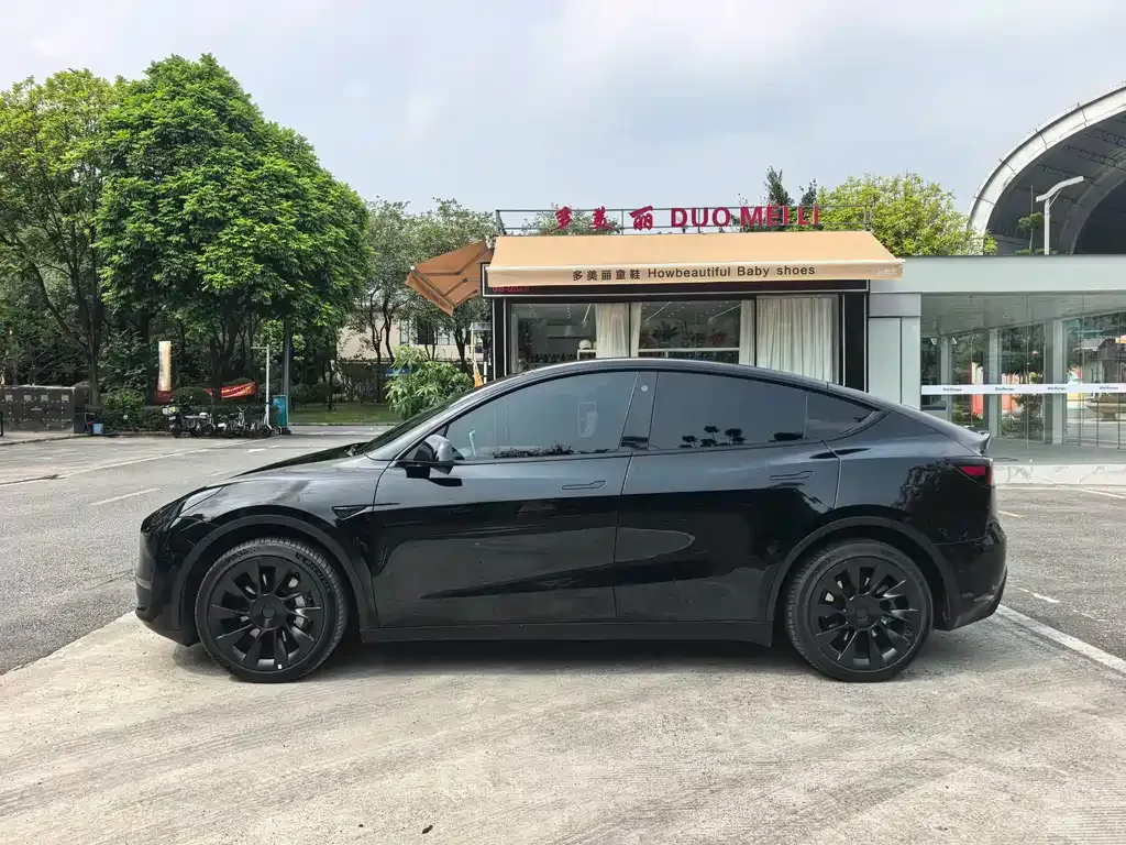 Tesla Model Y — фото 5