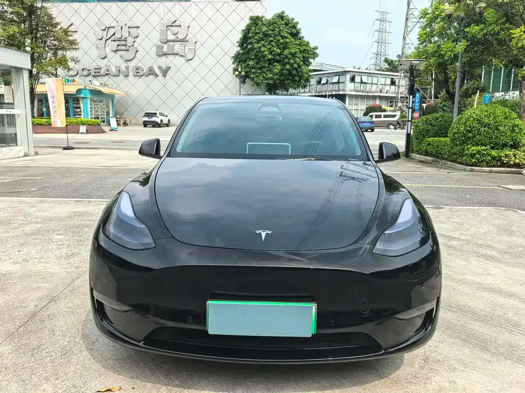 Tesla Model Y — фото 4