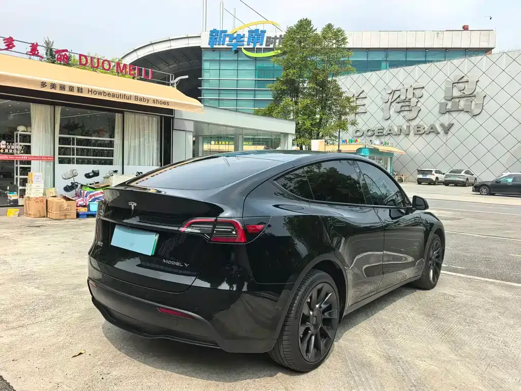 Tesla Model Y — фото 8