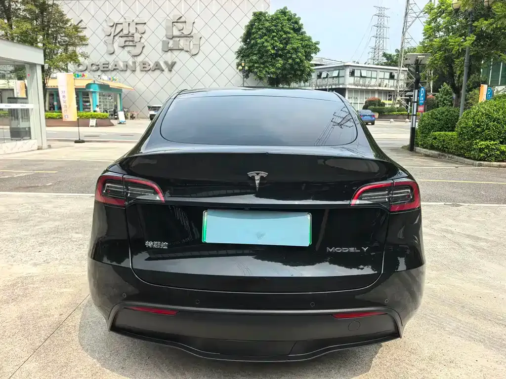 Tesla Model Y — фото 9