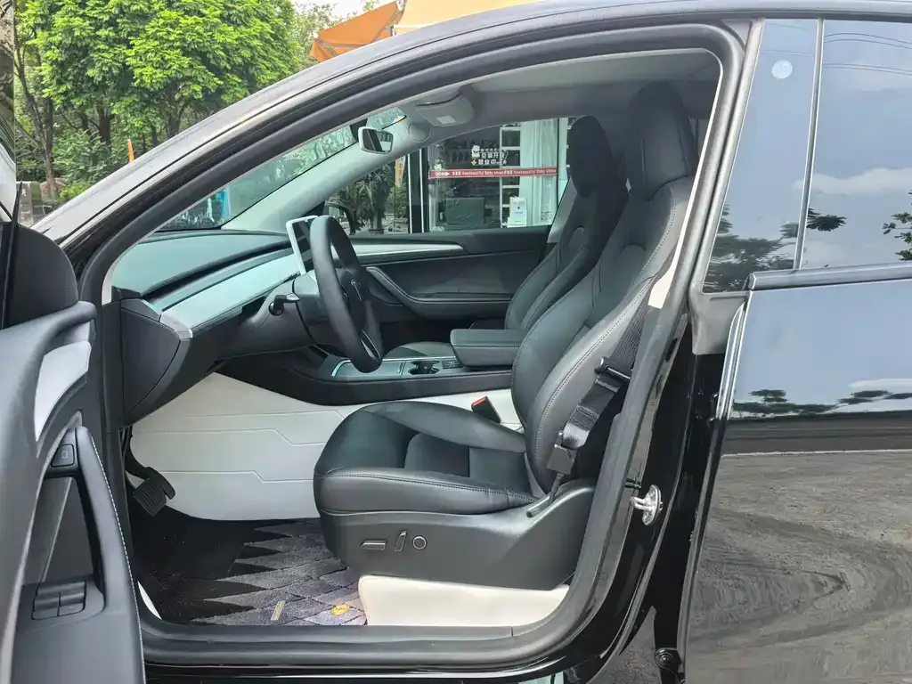 Tesla Model Y — фото 2