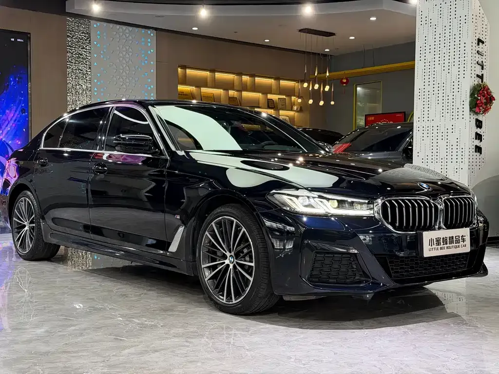 BMW 5 Series — фото 10