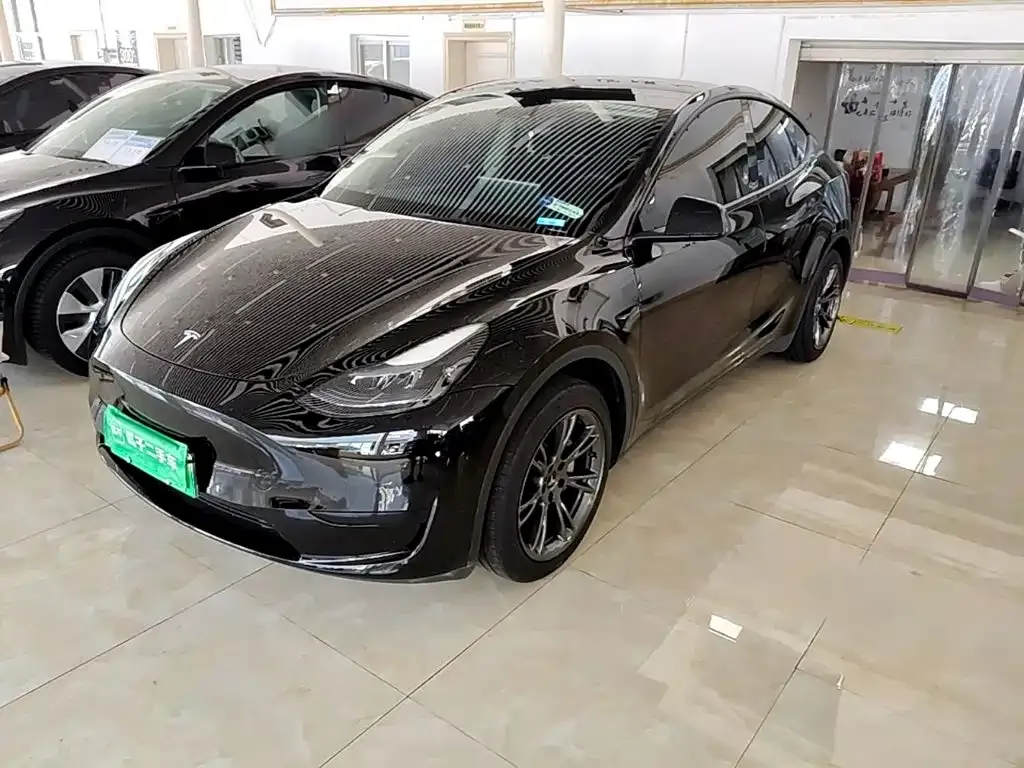 Tesla Model Y — фото 1