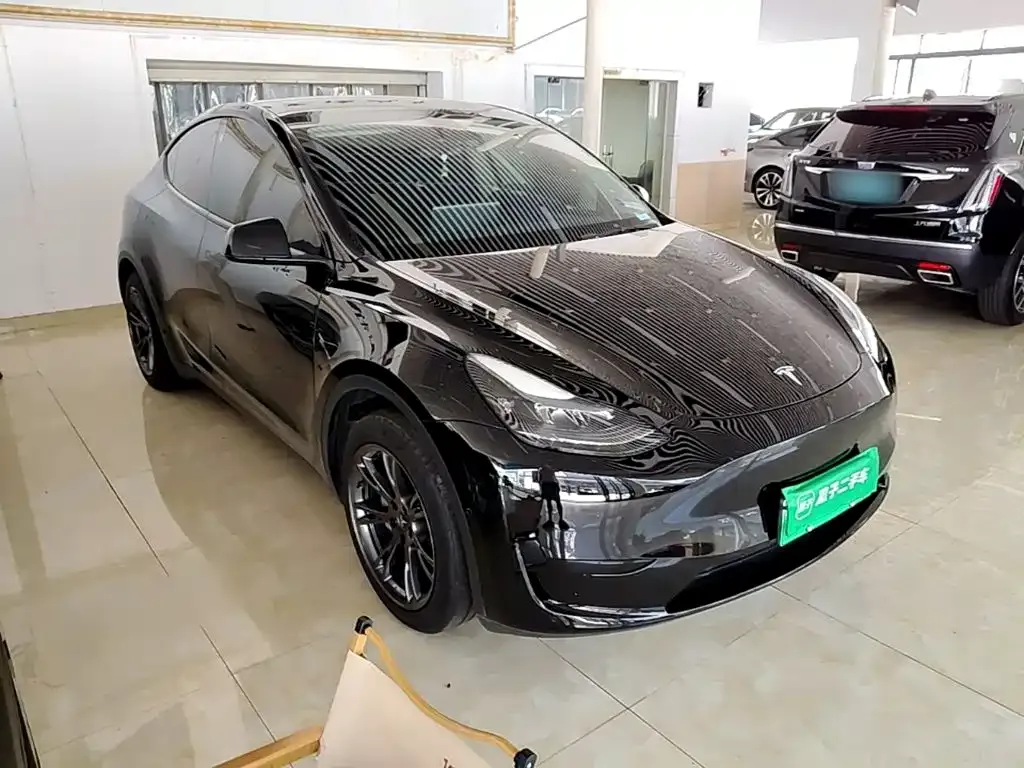 Tesla Model Y — фото 10