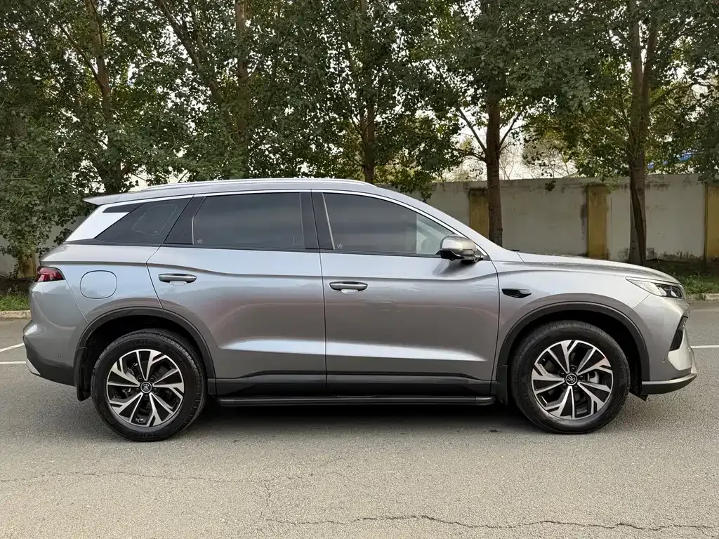 BYD Pro New Energy — фото 9