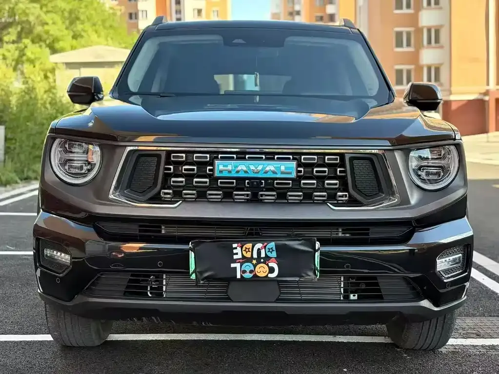 Haval Big Dog PLUS New Energy — фото 9