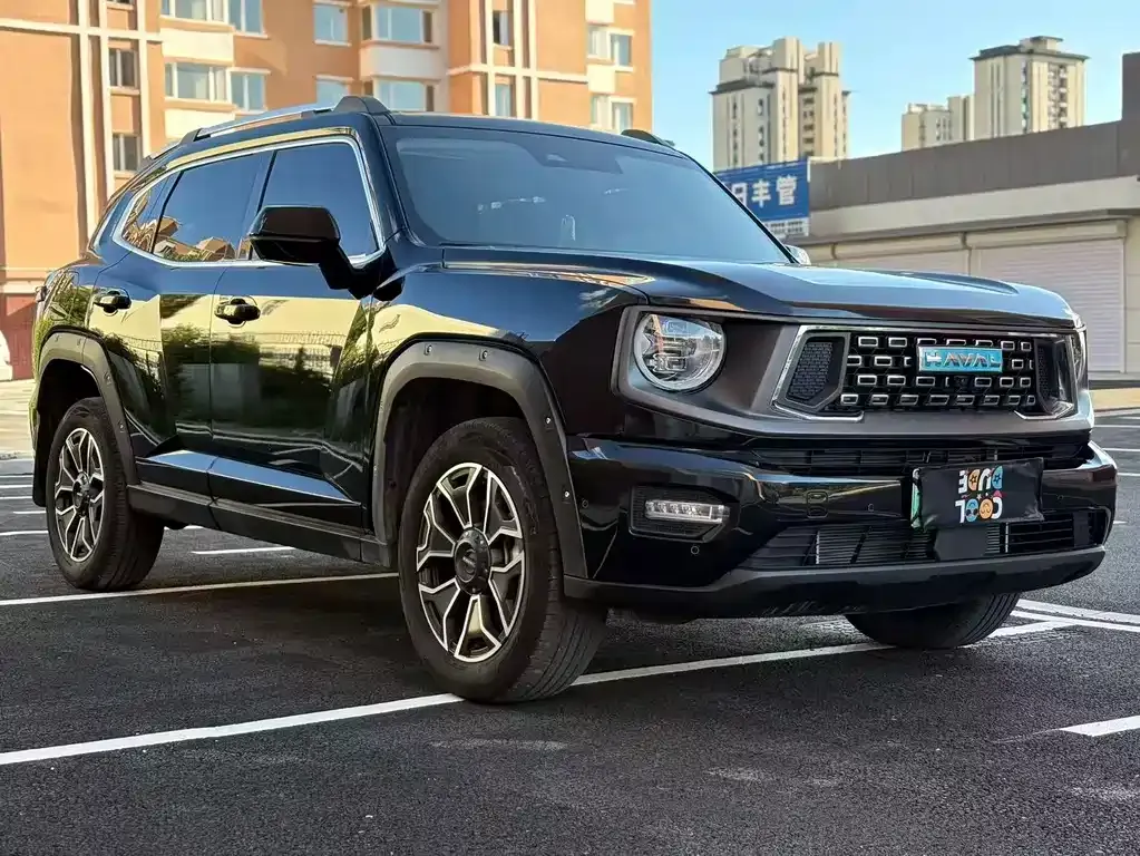 Haval Big Dog PLUS New Energy — фото 8