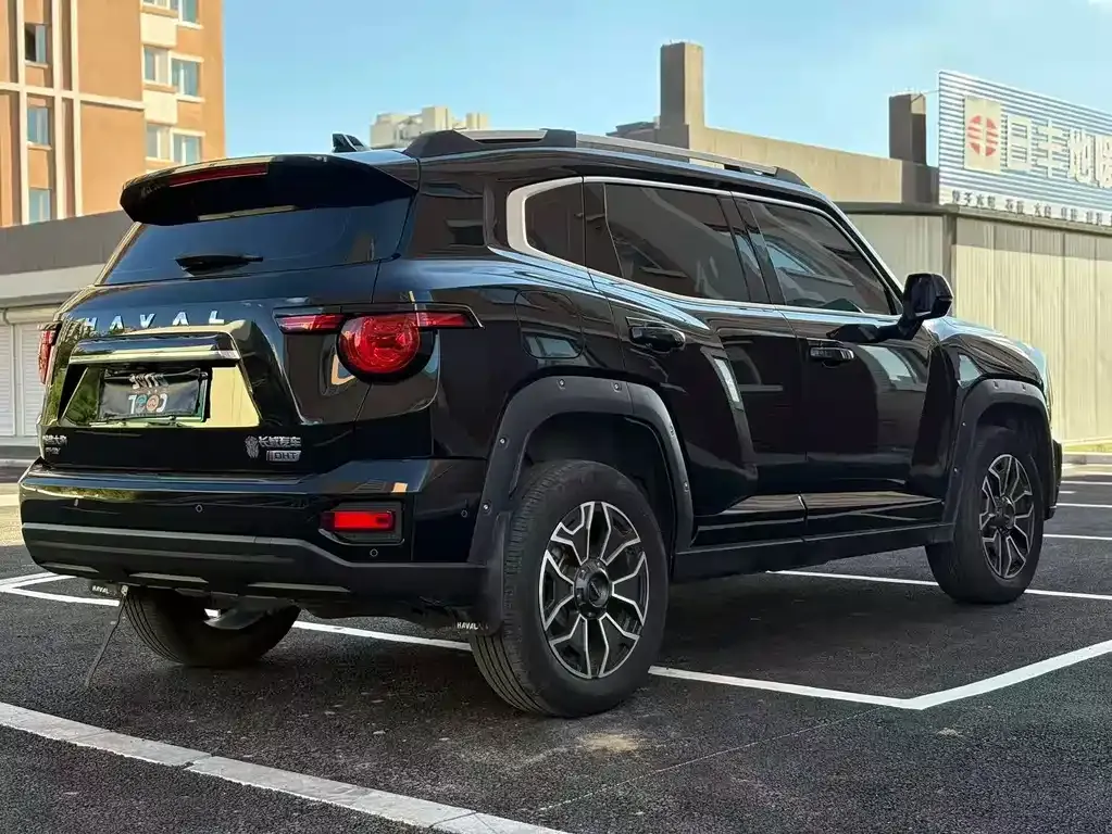 Haval Big Dog PLUS New Energy — фото 4