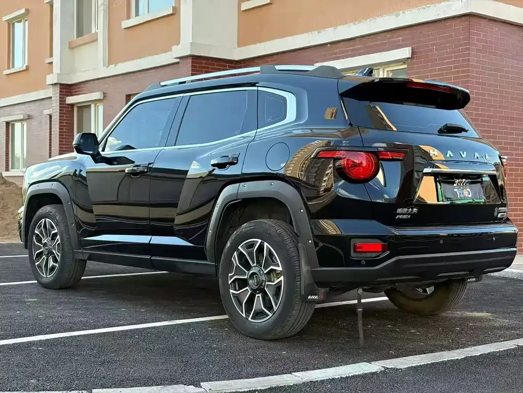 Haval Big Dog PLUS New Energy — фото 6