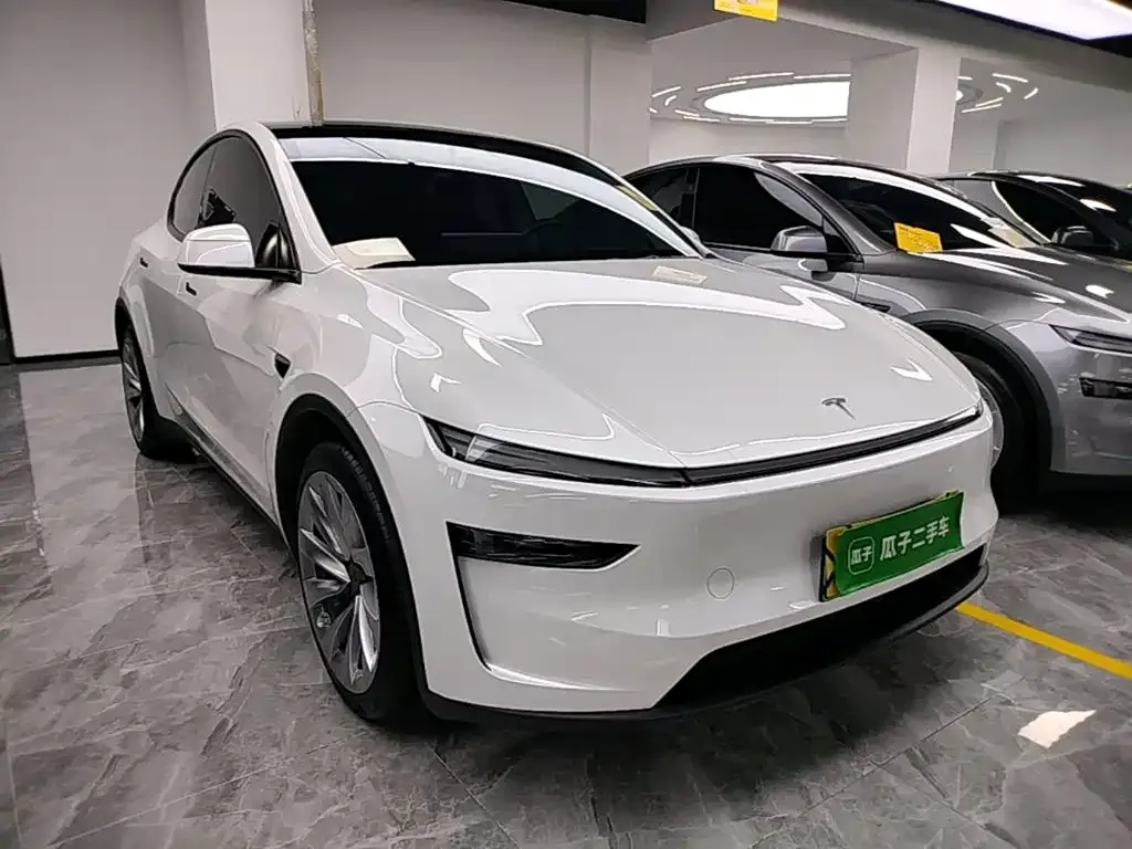 Tesla Model Y — фото 8
