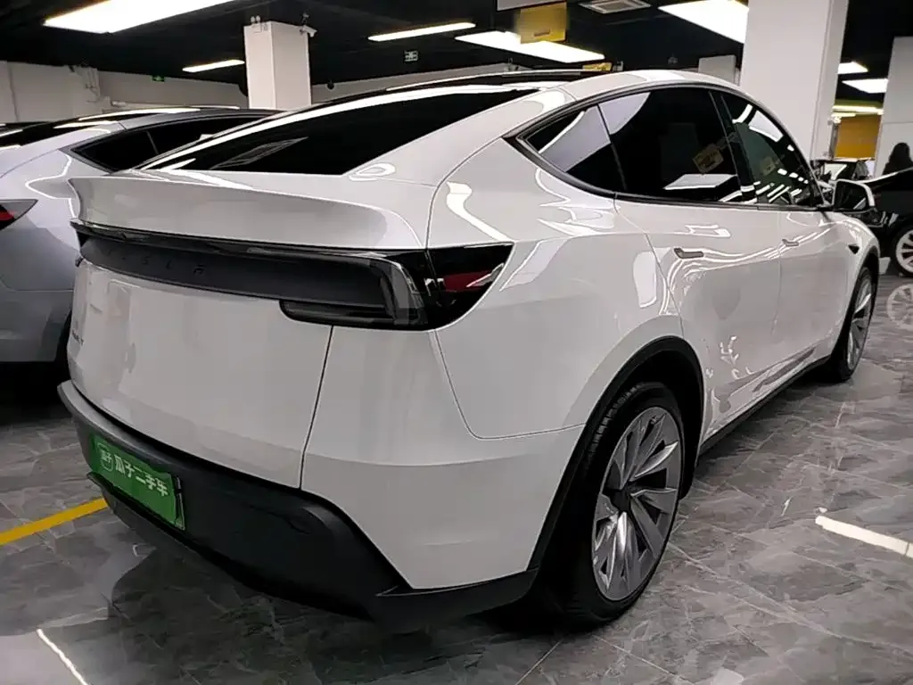 Tesla Model Y — фото 10