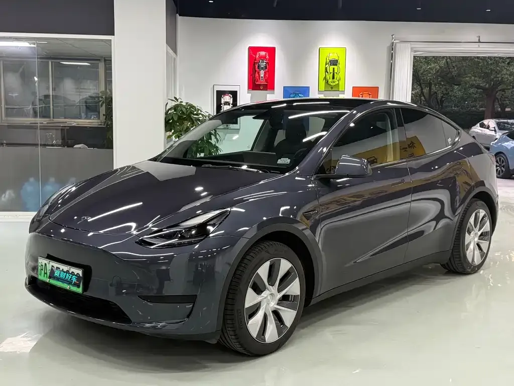 Tesla Model Y — фото 1