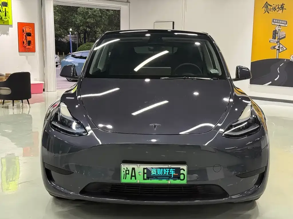 Tesla Model Y — фото 6
