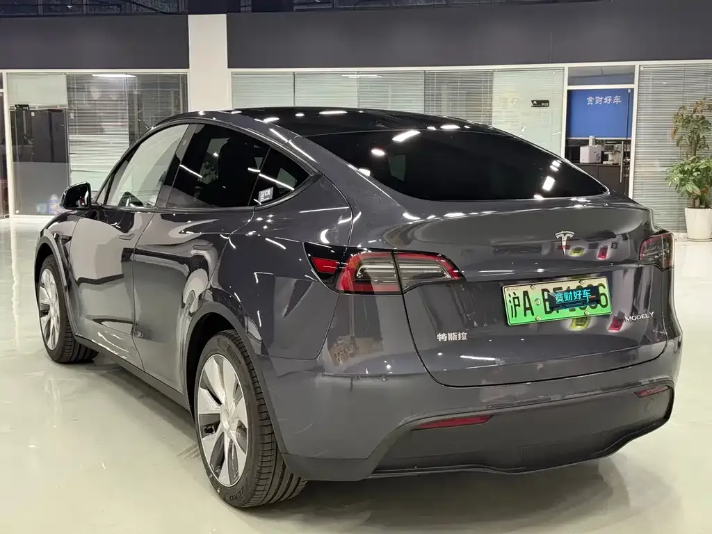 Tesla Model Y — фото 3