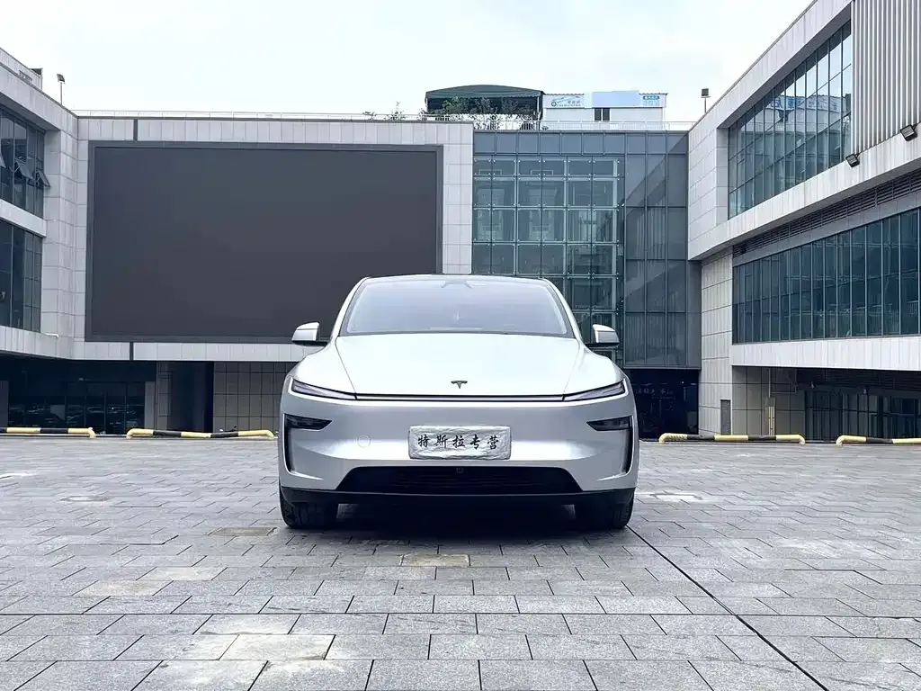 Tesla Model Y — фото 2