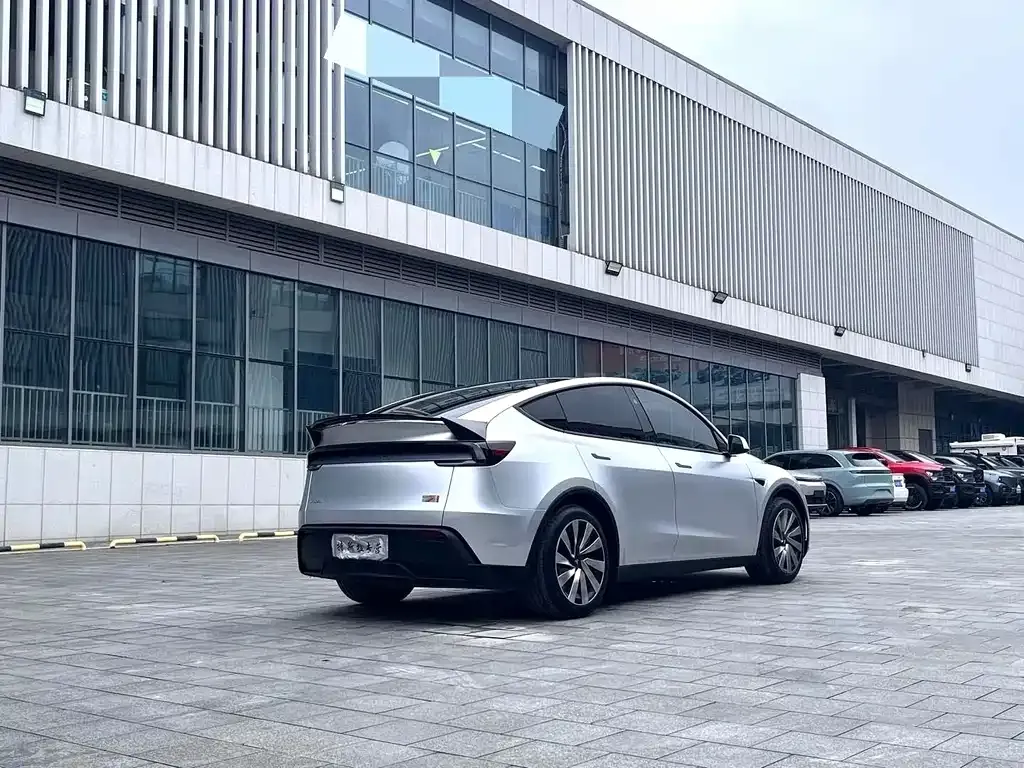 Tesla Model Y — фото 9