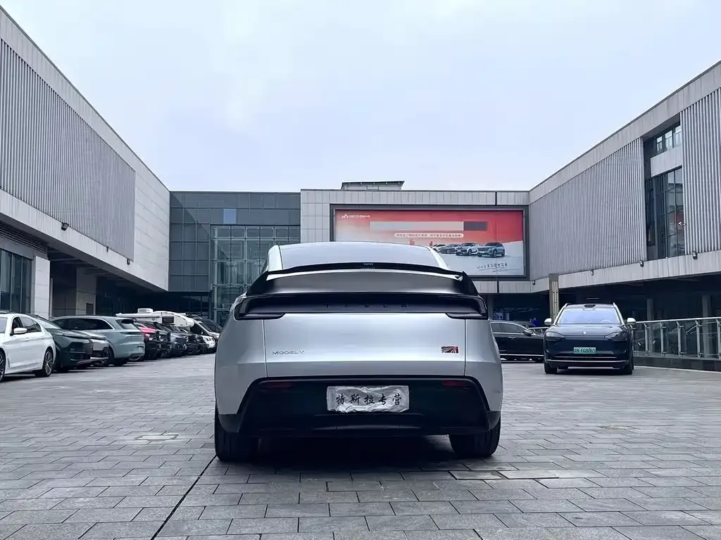 Tesla Model Y — фото 8