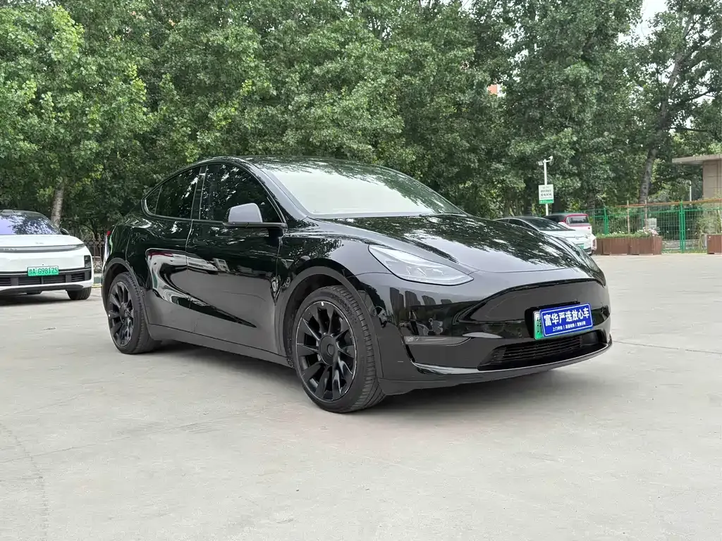 Tesla Model Y — фото 10