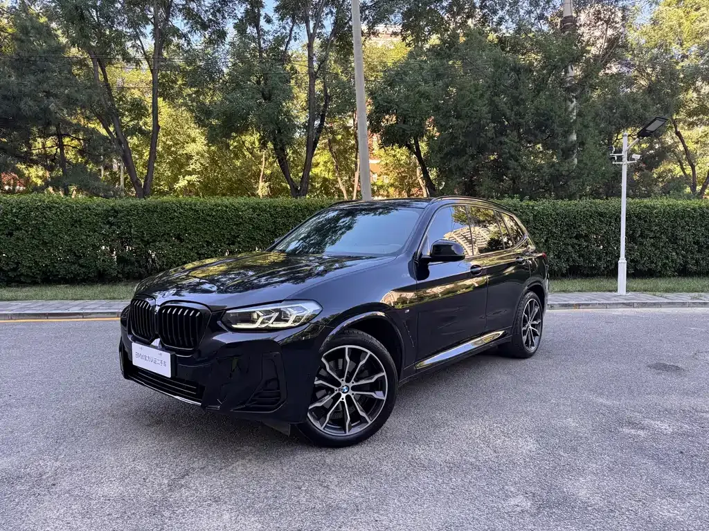 BMW X3 — фото 1