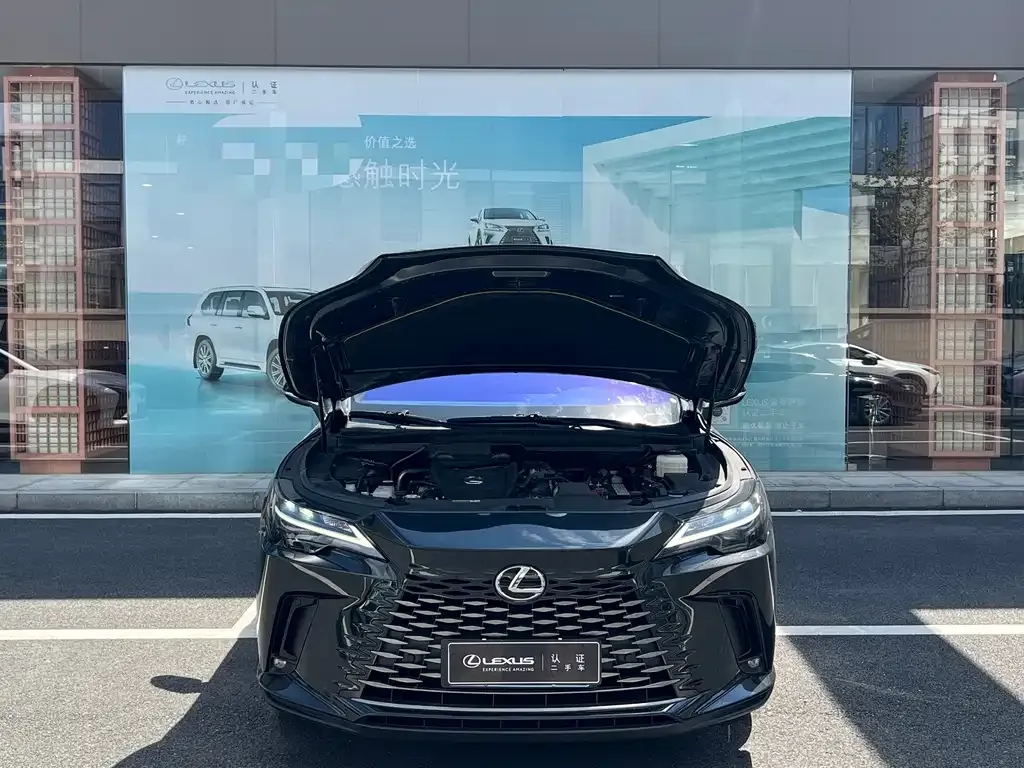 Lexus RX — фото 2
