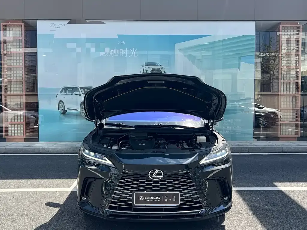 Lexus RX — фото 4