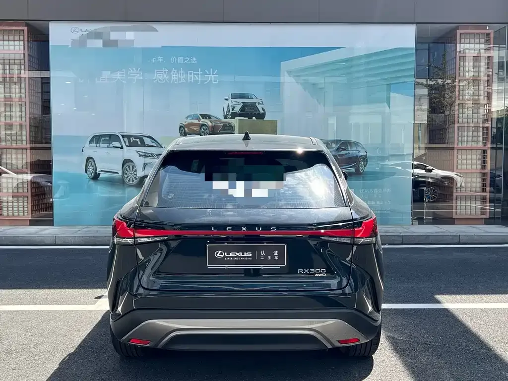 Lexus RX — фото 9