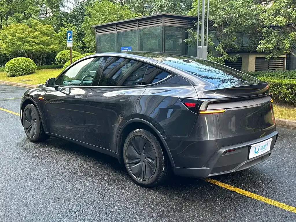 Tesla Model Y — фото 9