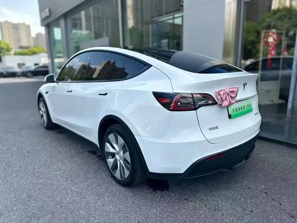 Tesla Model Y — фото 9