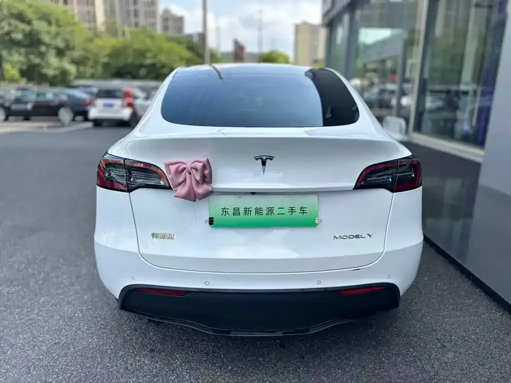 Tesla Model Y — фото 5