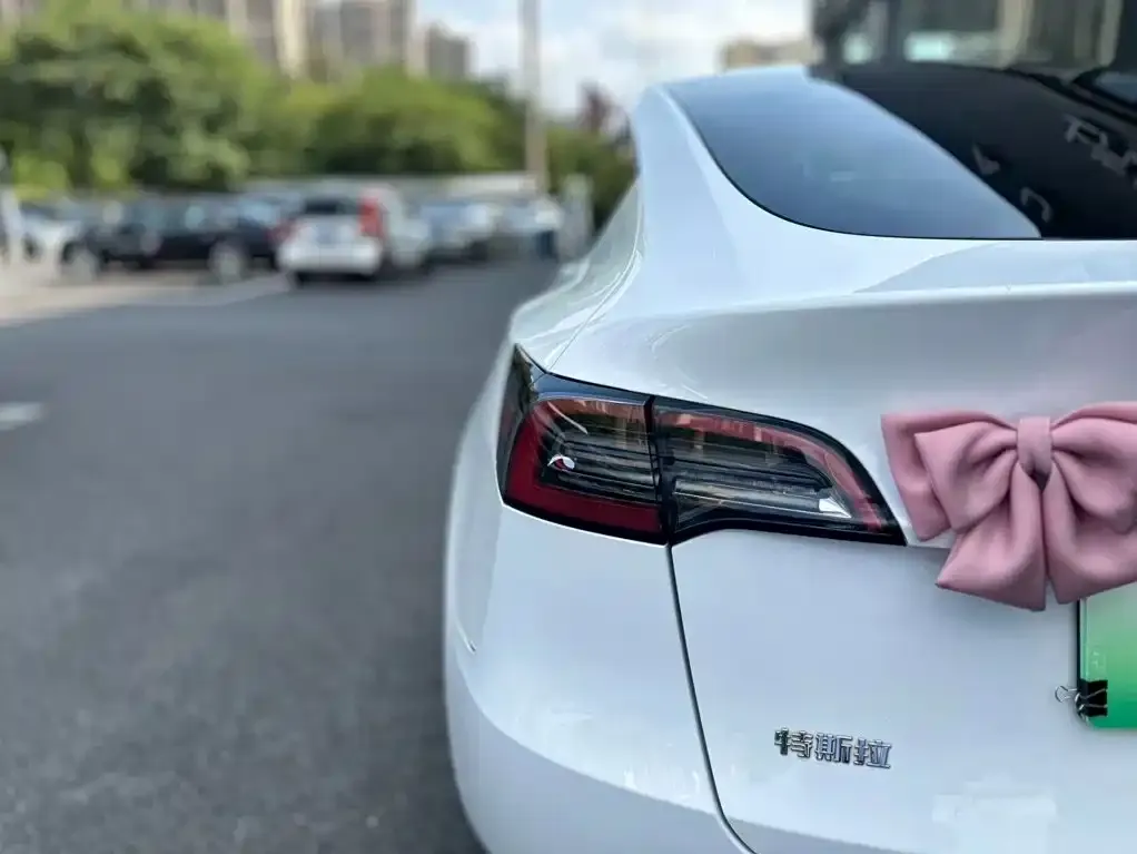 Tesla Model Y — фото 6