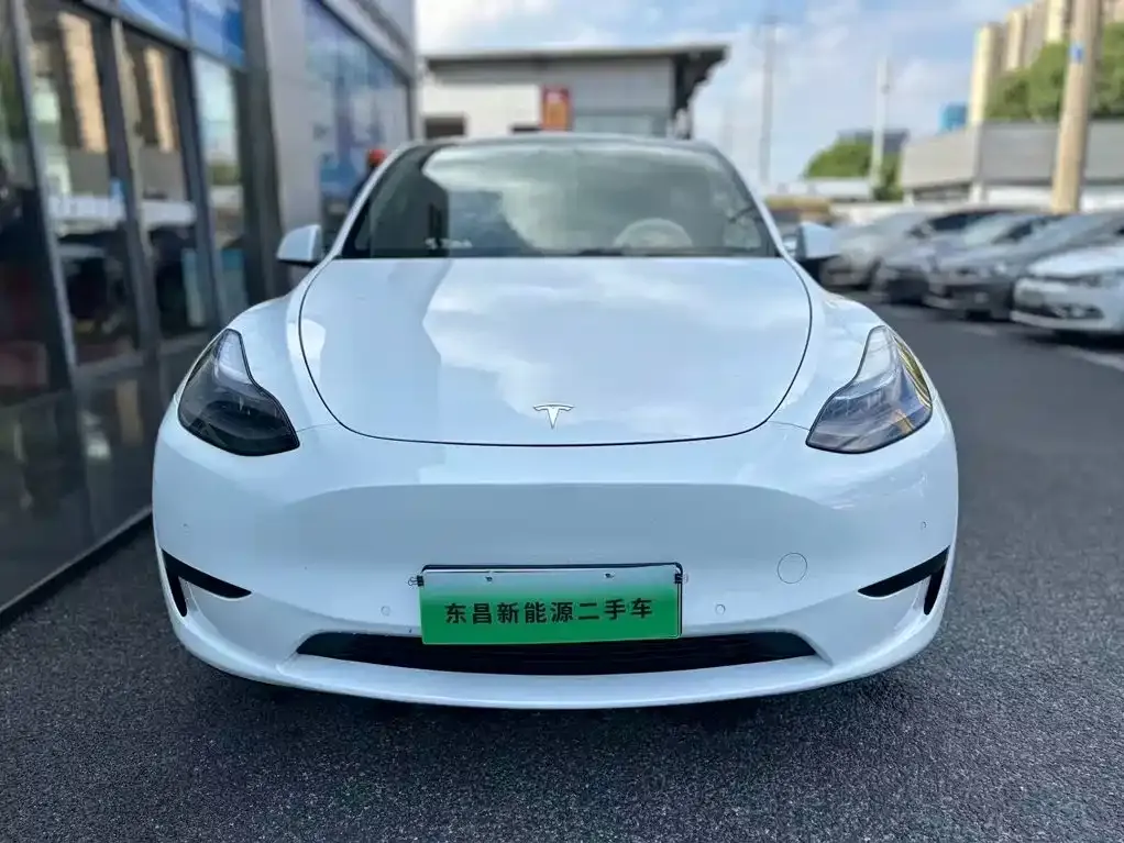 Tesla Model Y — фото 3
