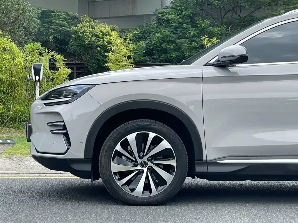 BYD PLUS New Energy — фото 8