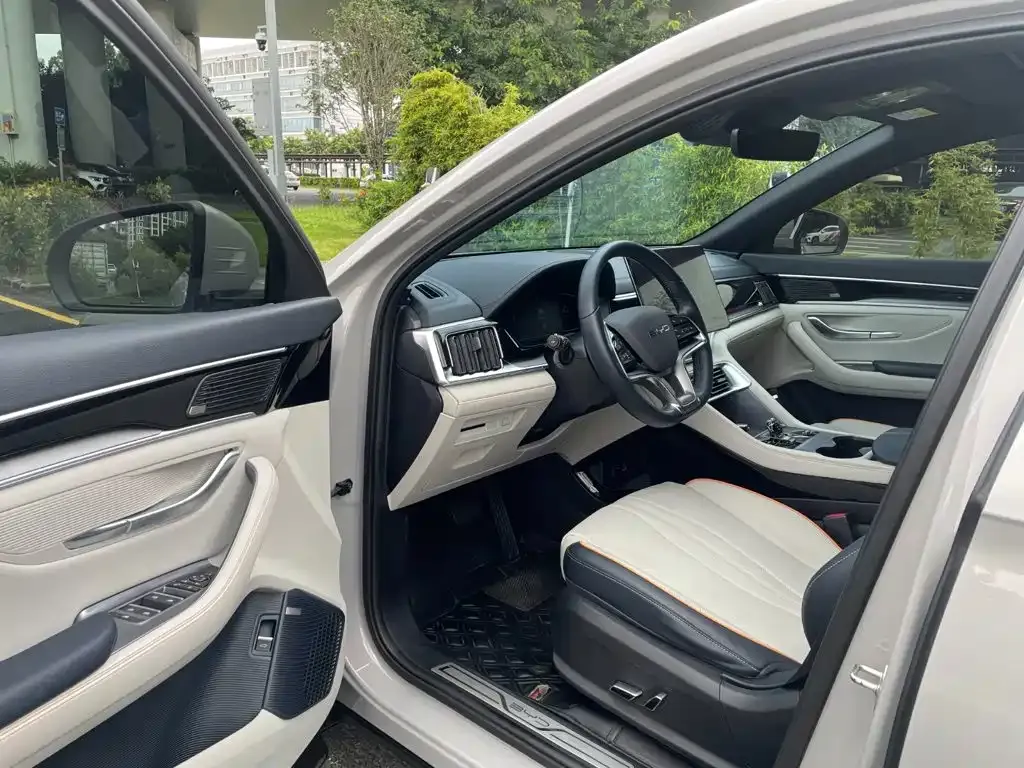 BYD PLUS New Energy — фото 4