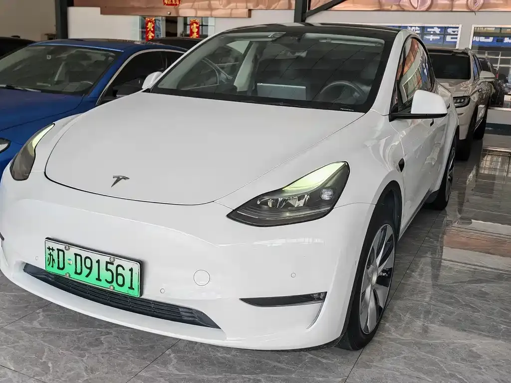 Tesla Model Y — фото 1