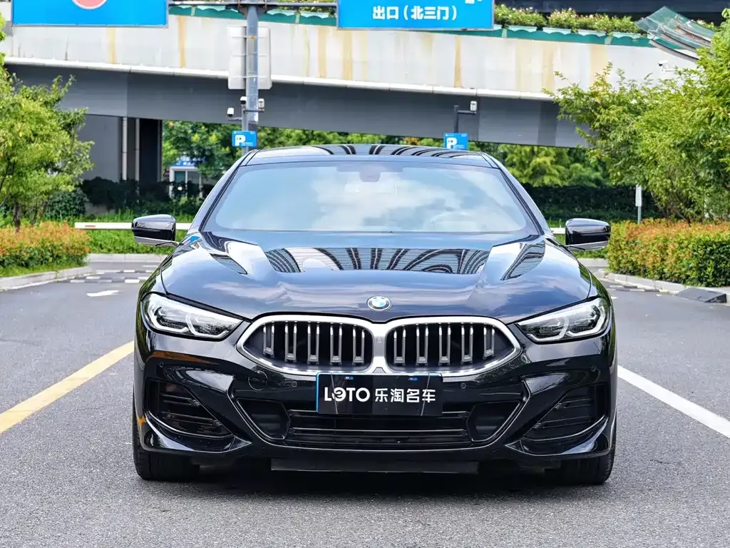 BMW 8 Series — фото 9