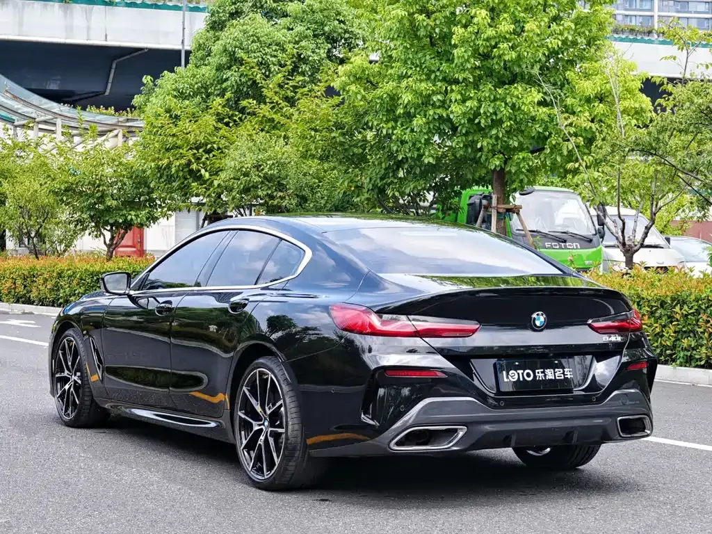 BMW 8 Series — фото 10