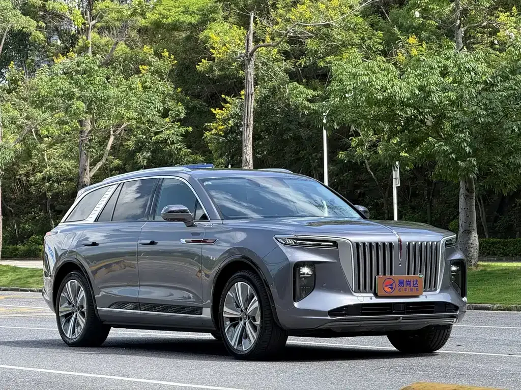 Hongqi E-HS9 — фото 10
