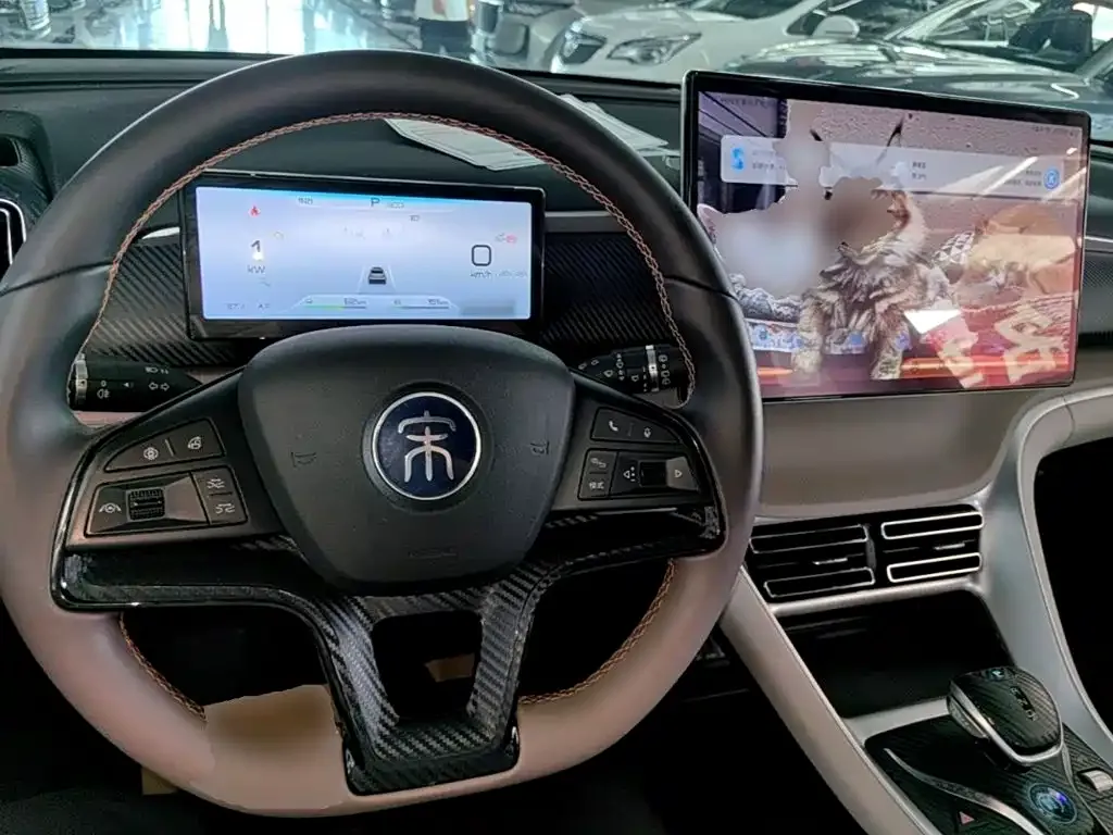BYD Pro New Energy — фото 10