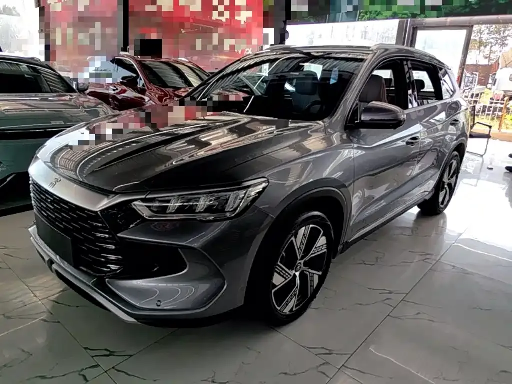 BYD Pro New Energy — фото 4