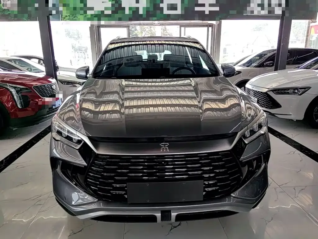 BYD Pro New Energy — фото 9